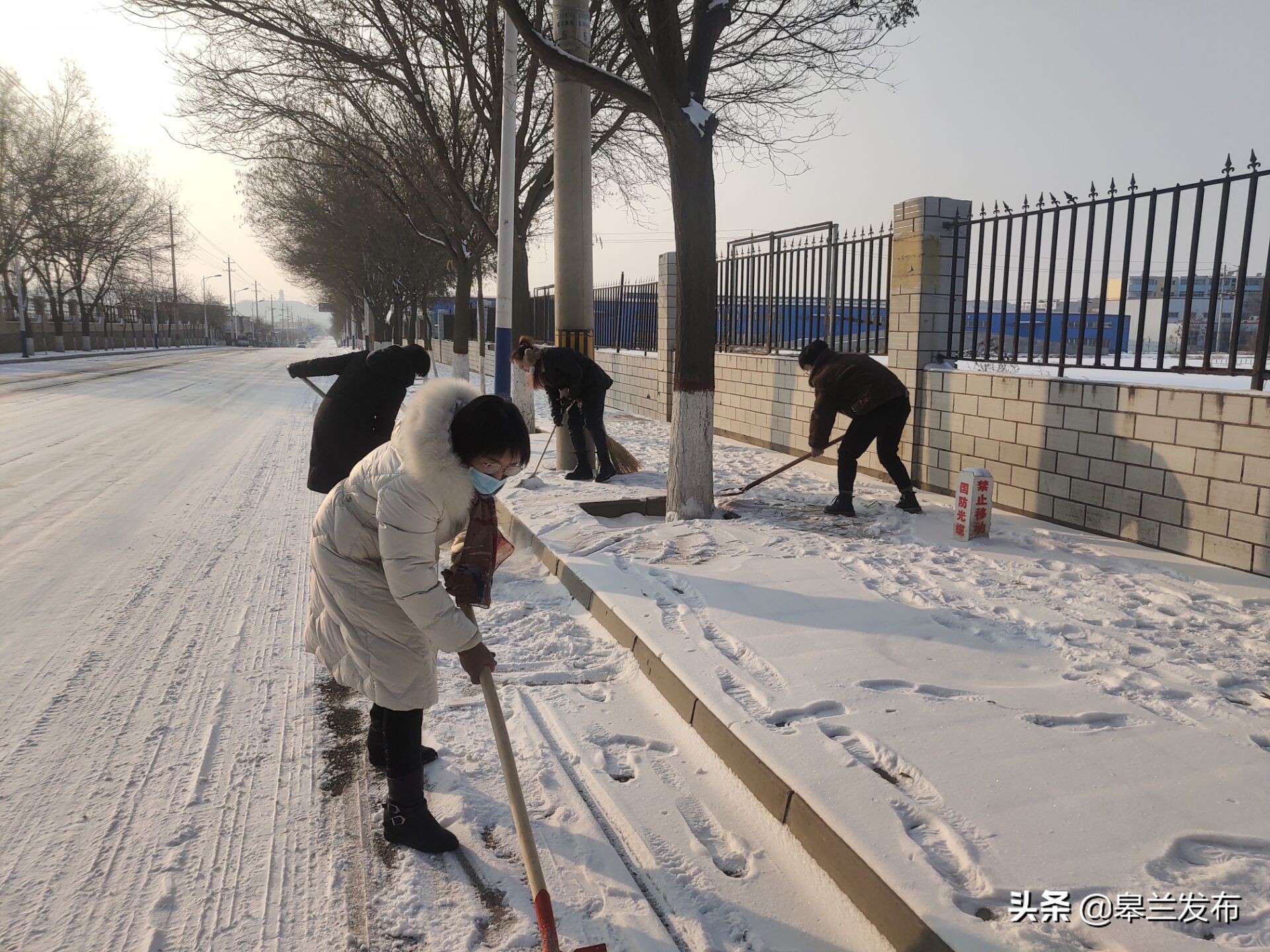 �����ɲ�Ⱥ�������� ��������ѩ����ģʽ��