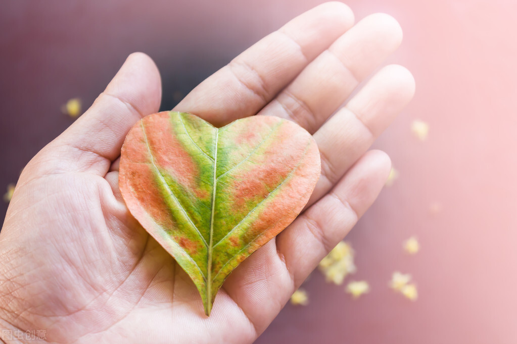 人生短短三万天，珍惜当下，知足常乐，幸福可以常伴在你左右