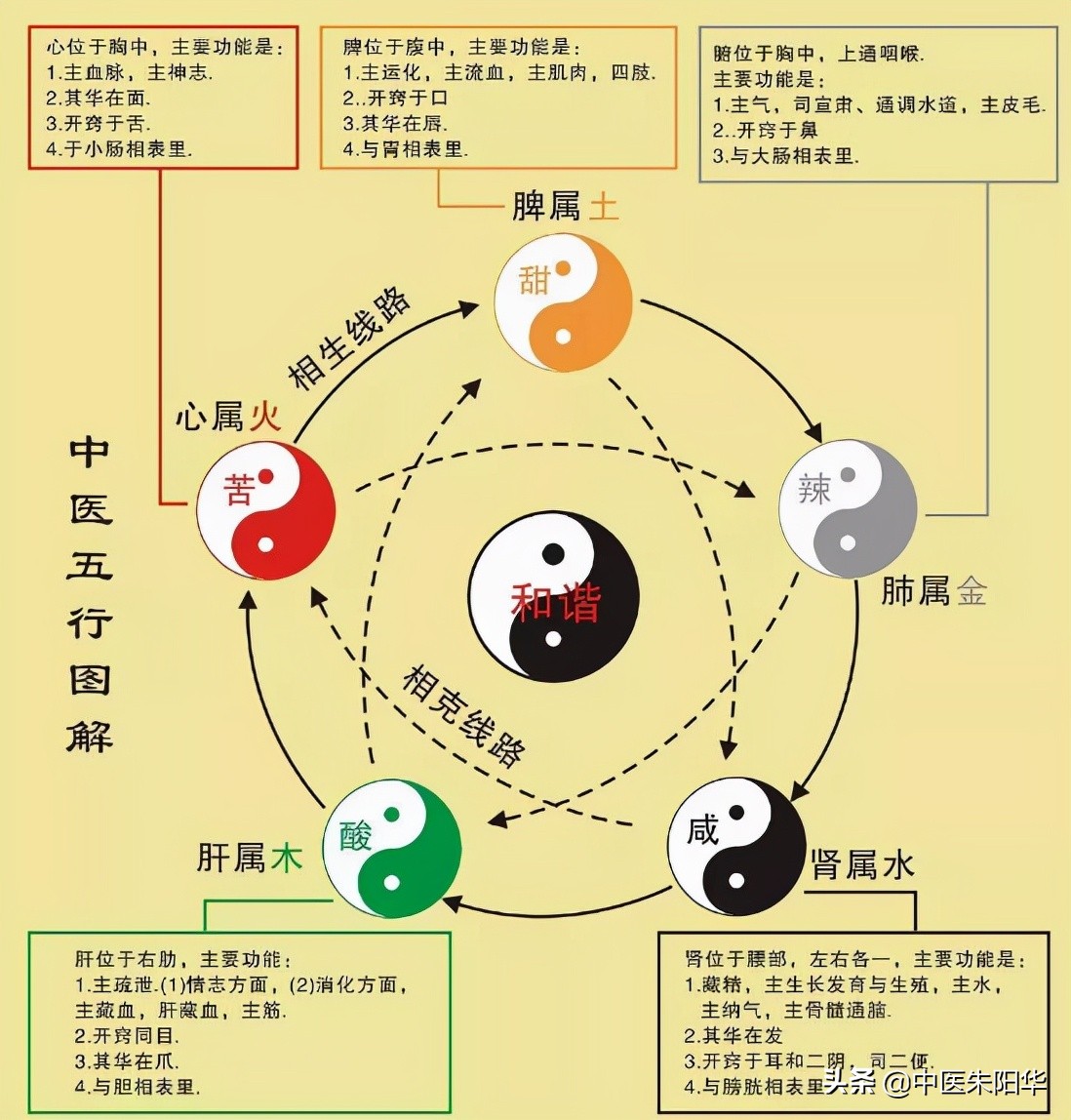 不懂五行就不懂中医，不懂中医就不懂中国文化，你又了解多少