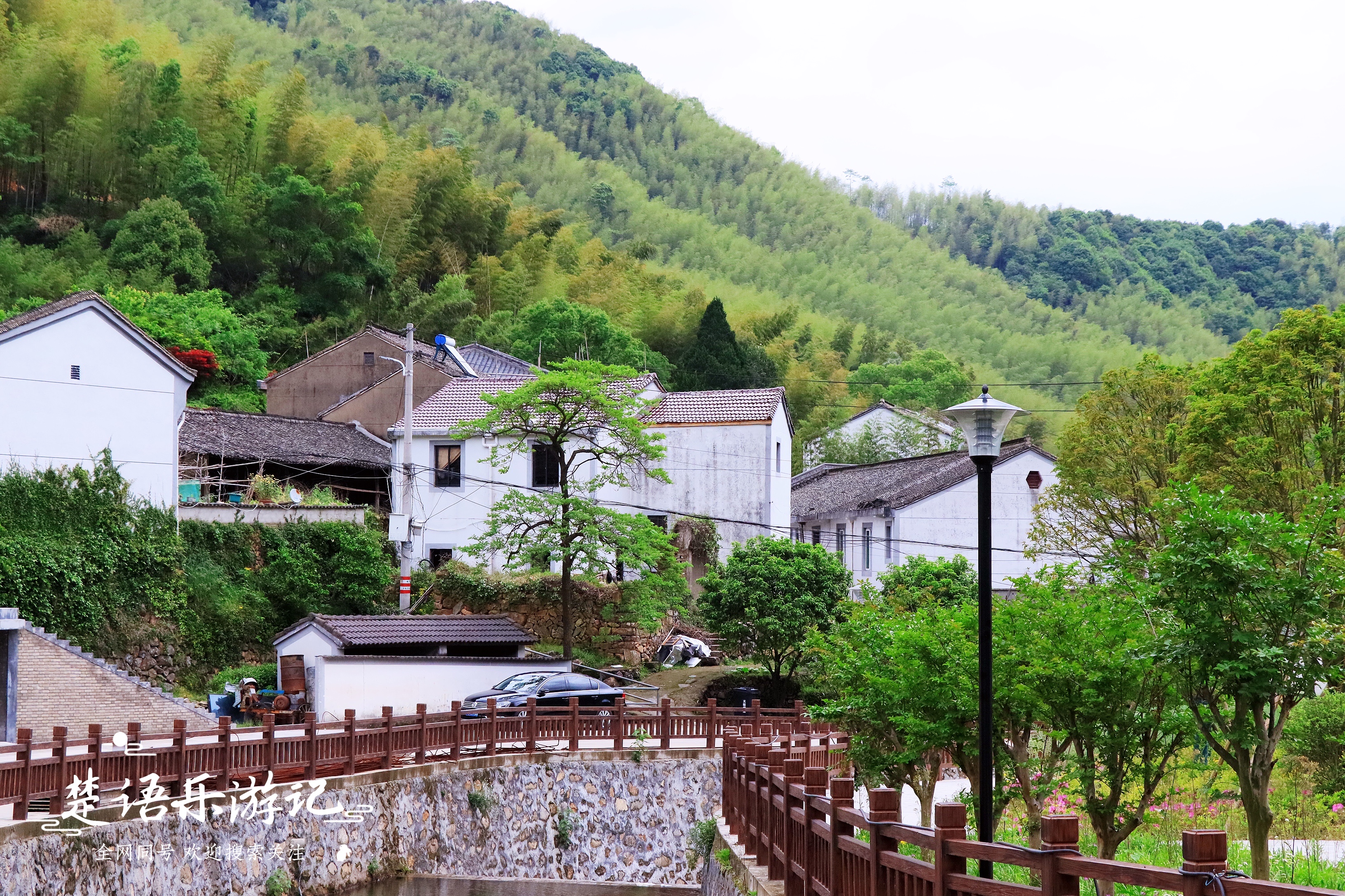 宁波最个性的古村，真花已够美却广植假花，畲族蓝姓成为独特符号