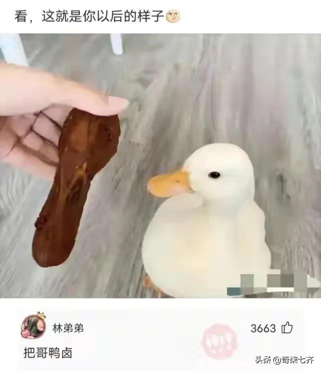 神评爆笑合集：弟弟走丢了，那一晚村子里谁家都没敢开门