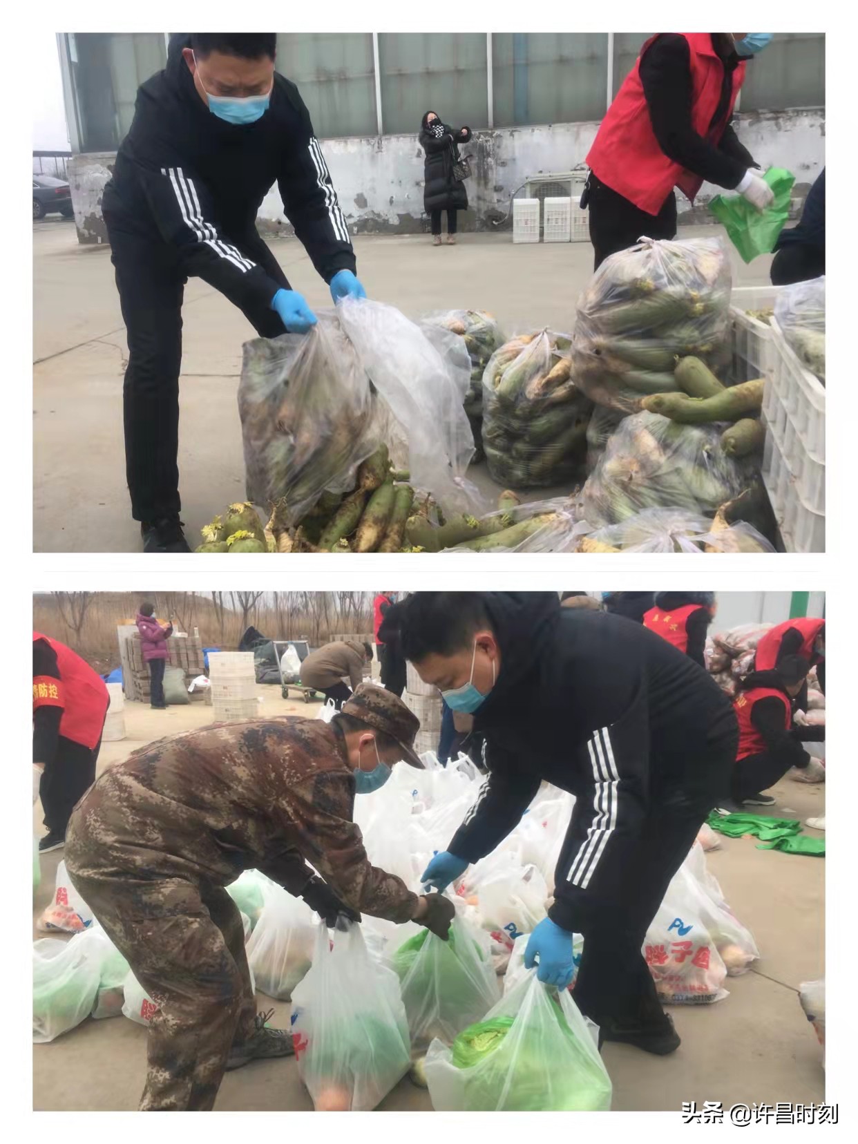 寒冬有爱“蔬”你最暖 魏都区民政局4小时加装蔬菜包5吨助力全区“魏”禹行动