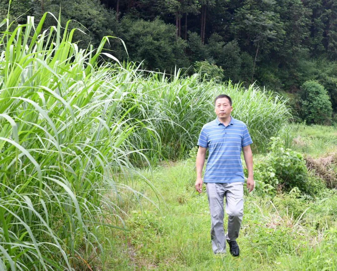 【代表风采】​致富路上的“领头牛”——记市六届人大代表黄爱民