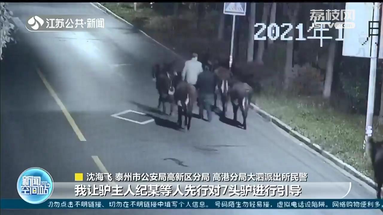 7头驴运输途中逃脱 泰州民警连夜帮找回