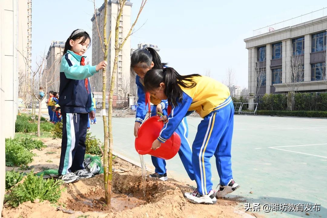 周播报 | 潍坊校园新闻（03.07—03.13）