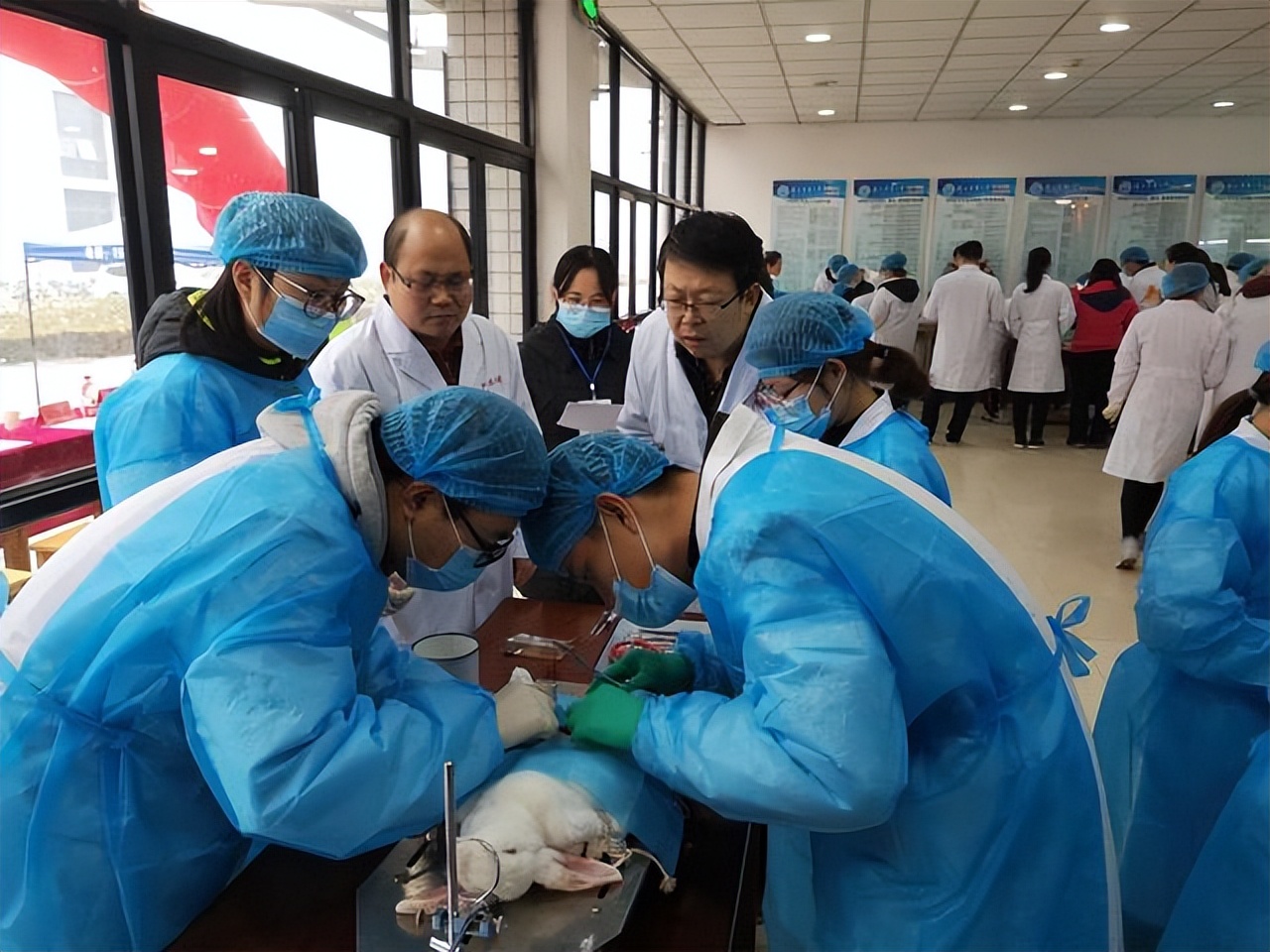 这5个专业很“冷门”，但就业却“很稳”，毕业就被“抢”