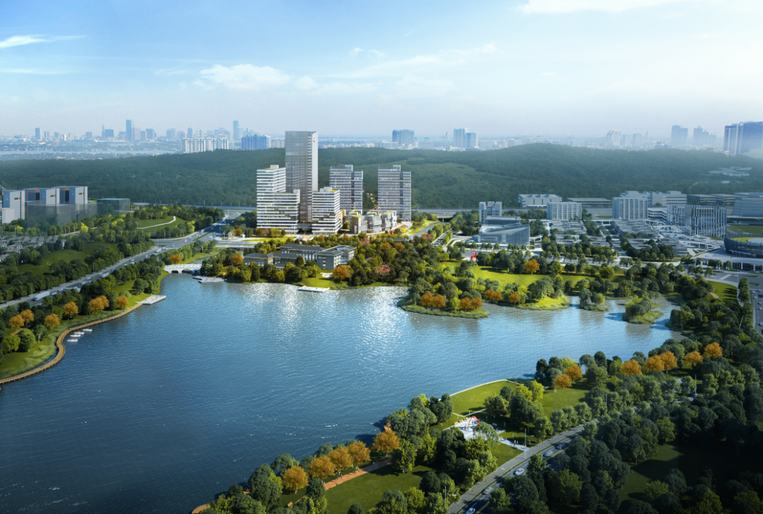 湾区智库携手“喜羊羊之父”，看广州在创意创新产业如何争先？