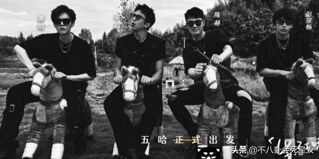 近期熱播的6檔爛綜藝，評分最低4.1，你看的綜藝中招了嗎？