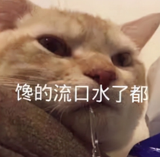 万物皆可做蛋糕，青蛙、鳄鱼、微波炉、人手…做蛋糕也太卷了
