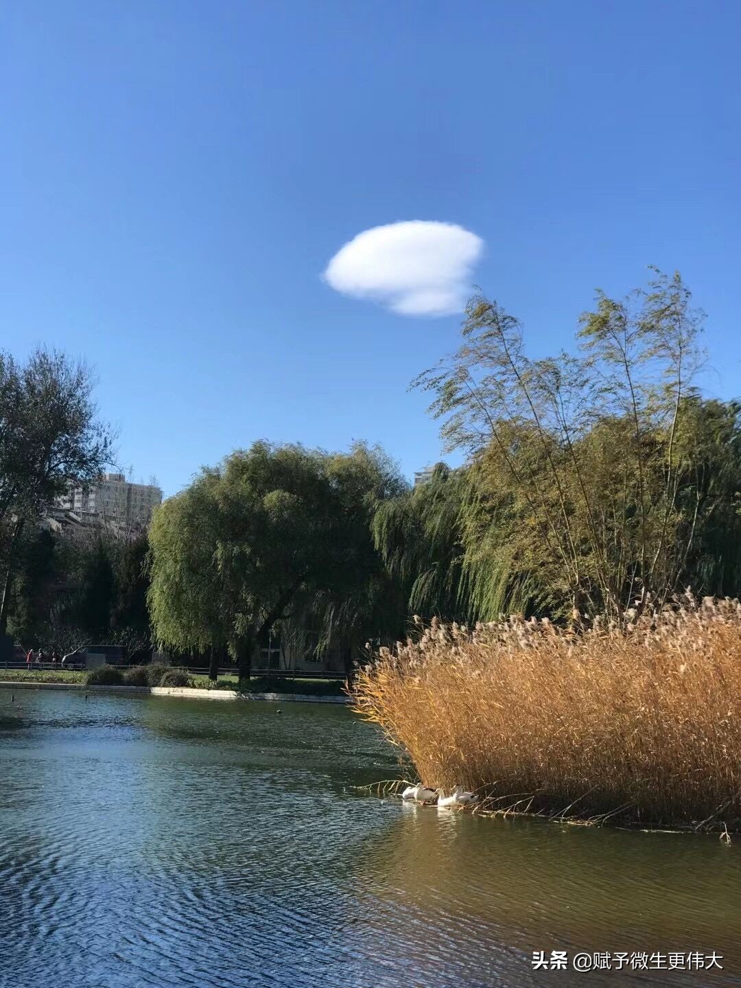 数风情——天地共我一色