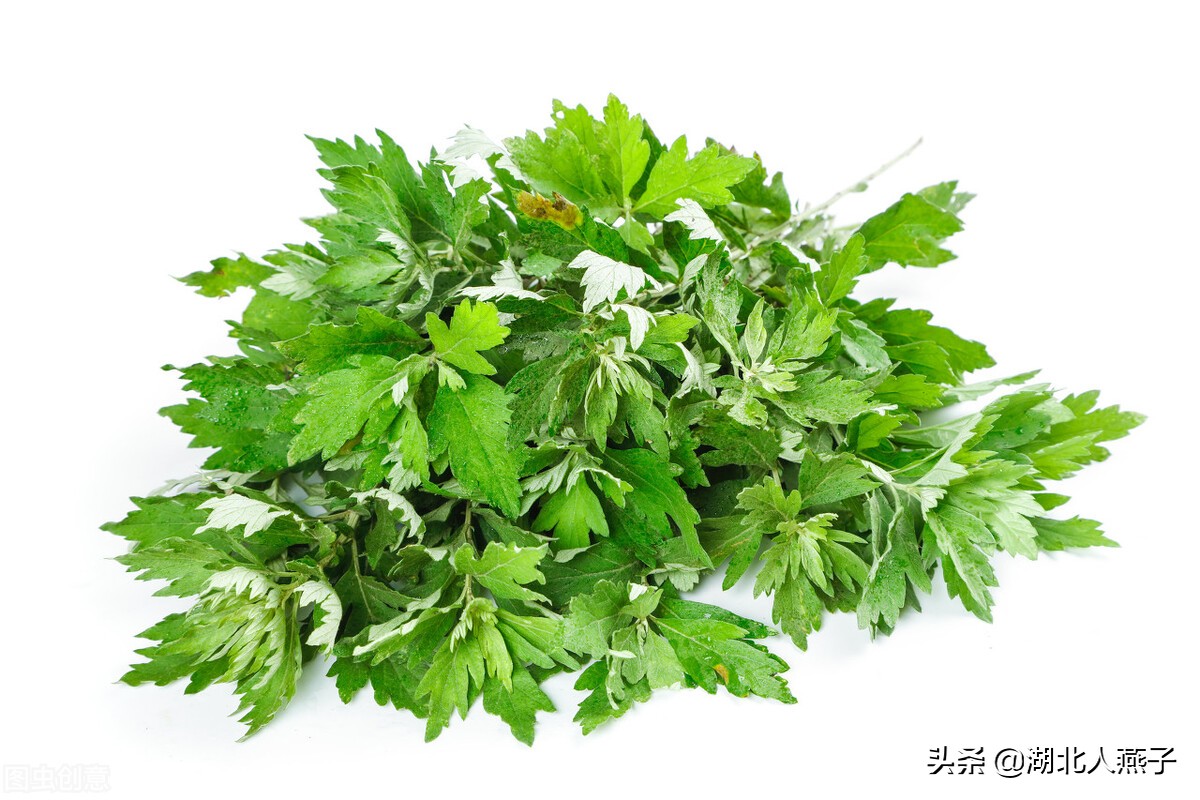 野菜的种类和做法（带你见识不同的野菜和吃法） 23