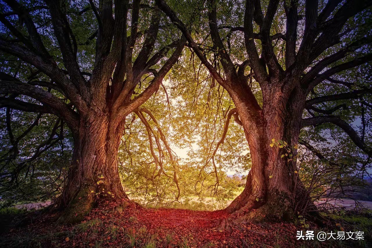 20句鸡汤励志句子，迎难而上，何惧困难，青春因奋斗而更加美丽