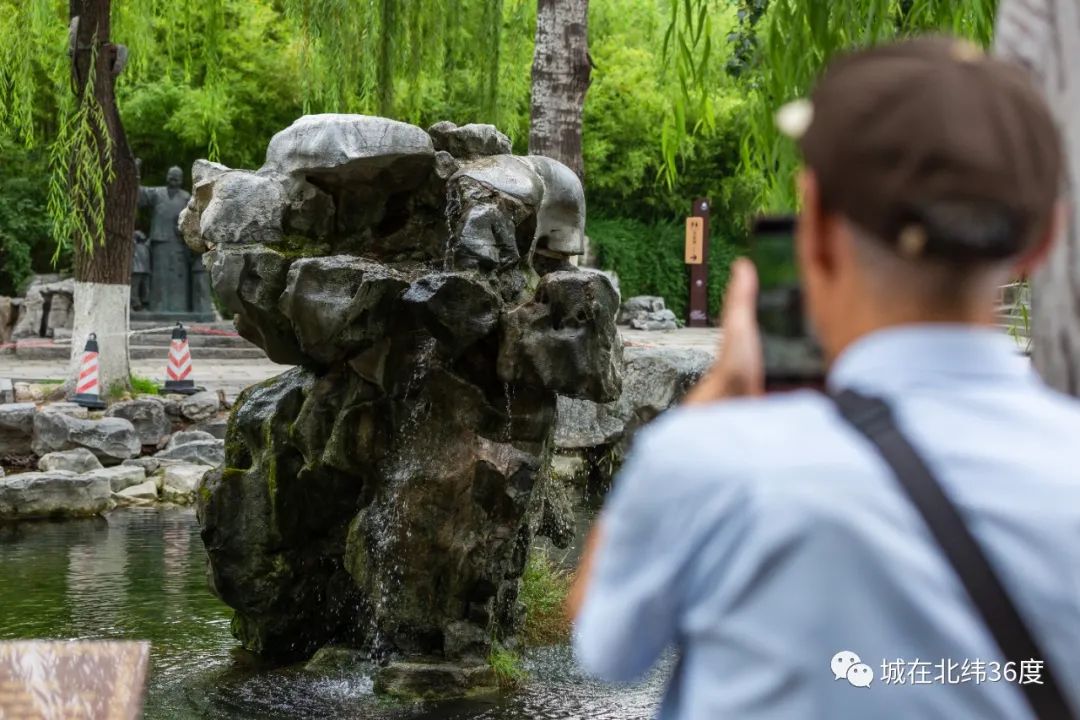 入伏了，与济南来一场泉水之约