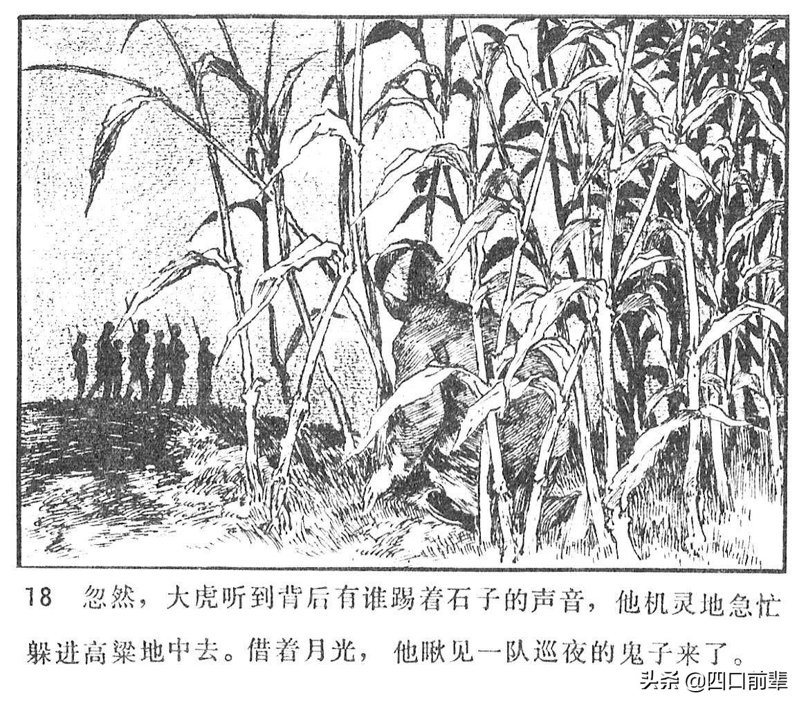 大虎和二虎 天津人民美术出版社 四口前辈 连环画 80后的回忆