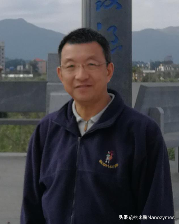 「转载」Analyst｜不同pH下具有双功能纳米酶活性的富马酸铜应用