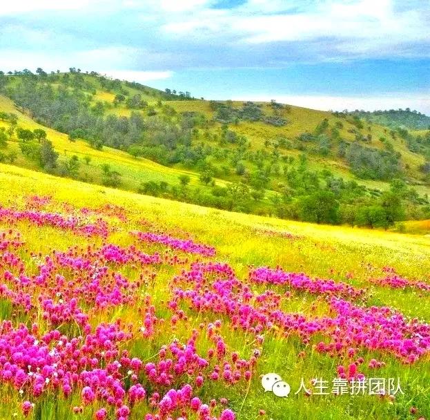 承接装饰装修工程企业应具有相应资质，并在其资质许可范围内从事