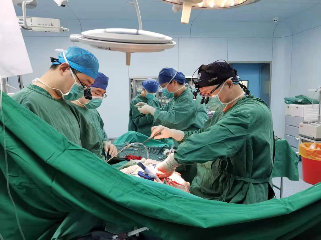 江西省心血管病医院一病区常规开展Barlow病高难度手术