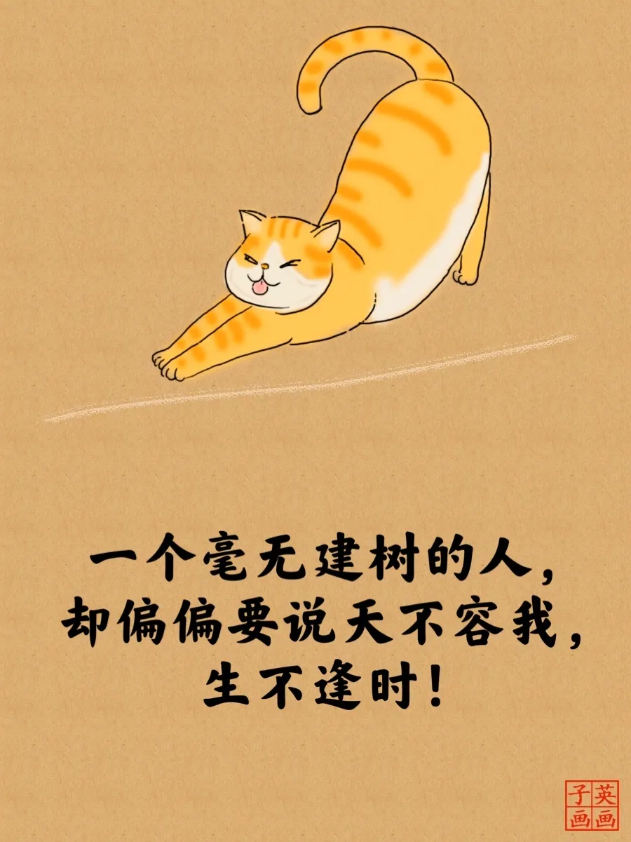 2022经典睿智的猫言猫语人生哲理大全