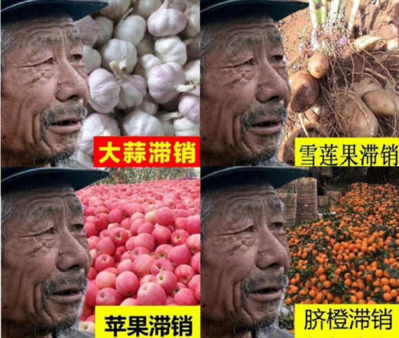 号称第七类植物调节剂的冠菌素，究竟能带给我们什么？