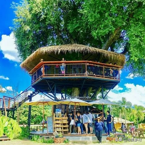 乡村产业发展，如何有效利用“四荒地”？5大创意玩法值得借鉴