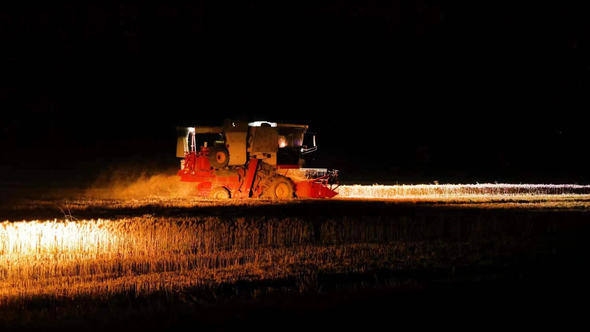合阳县：应对不利天气，连夜抢收小麦