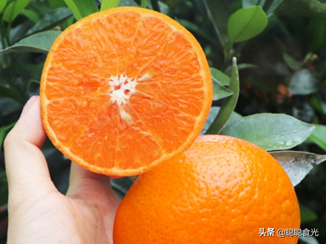 买橘子，哪个品种最好吃？这10个种类比较常见，看看你吃过哪个？