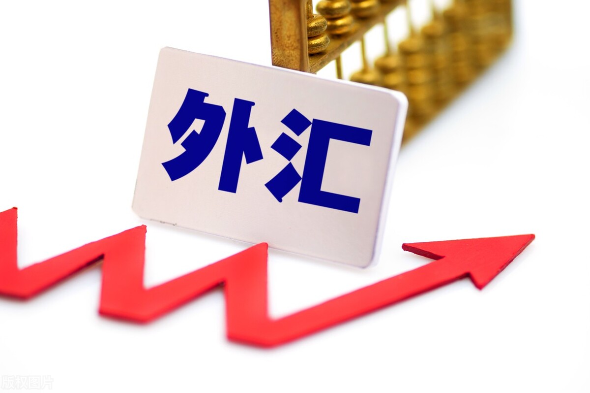 境外个人外汇结汇旅游项资讯的简单介绍