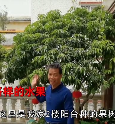 广州男子晒阳台种植的10余种水果，网友羡慕了：果农都没您种得好