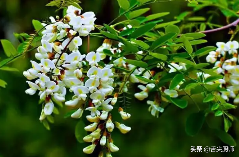 槐花怎么做好吃（简单快速又好吃的槐花做法）