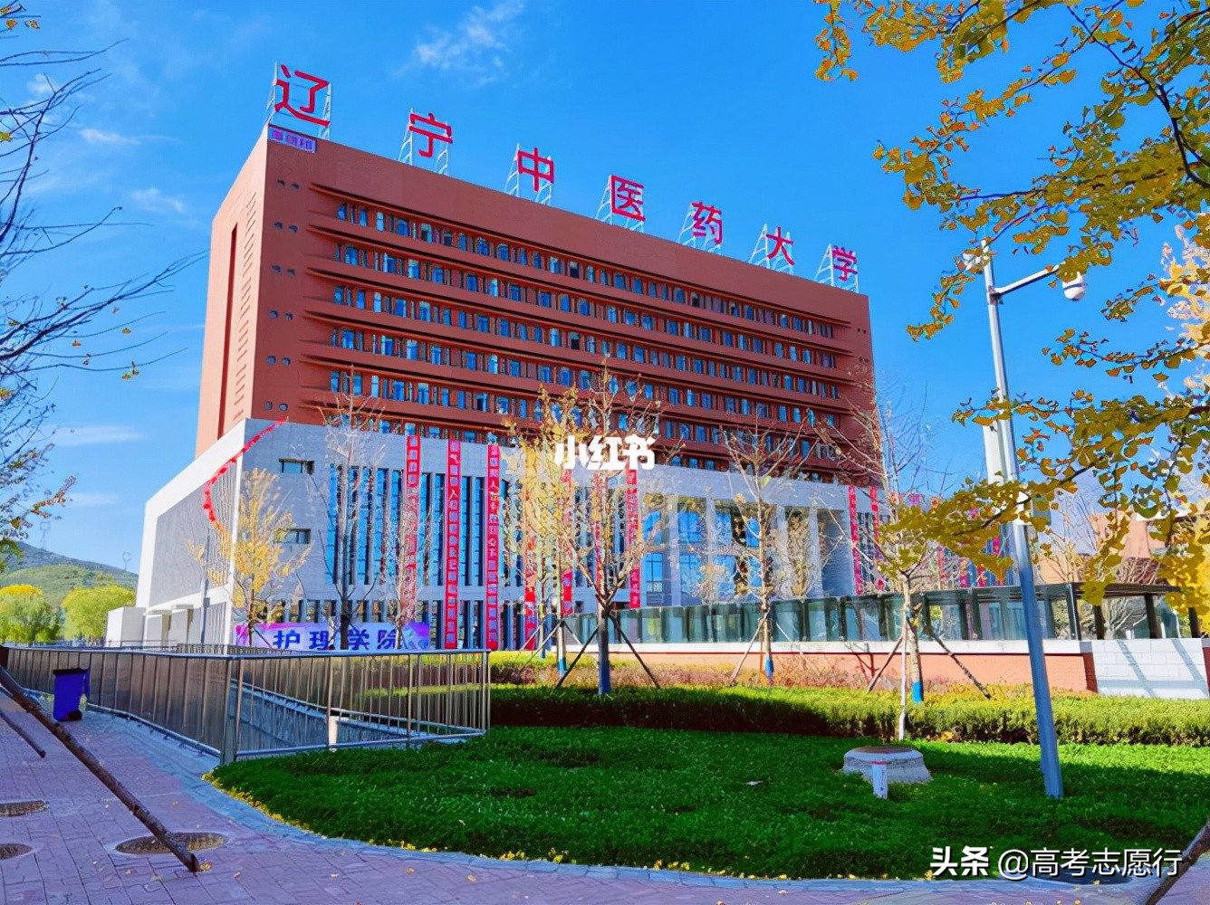 辽宁医药院校多达6所，1所是“国字头”，唯一的学院拟升大学