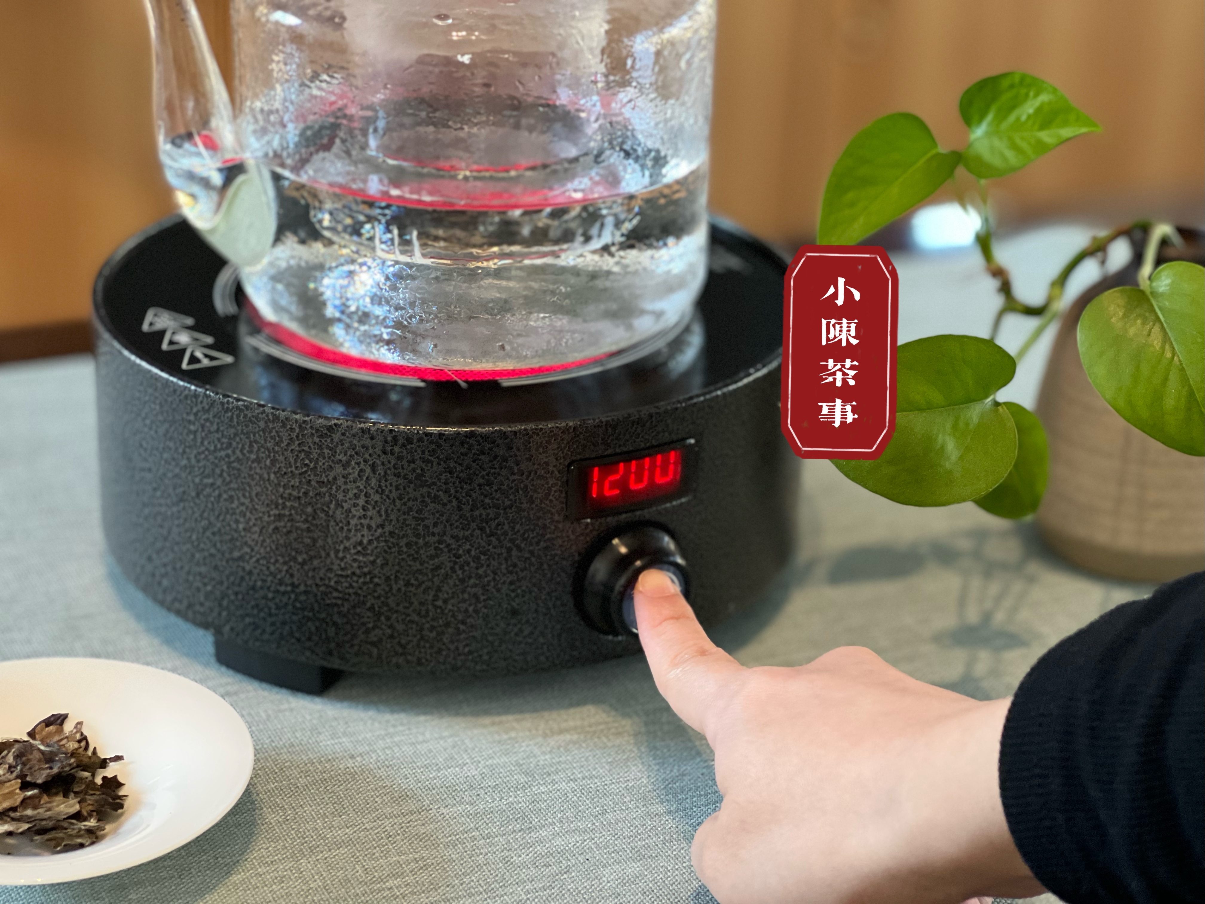 冬季煮茶热，铁壶、陶壶、玻璃壶、喷淋壶，究竟该怎么选？
