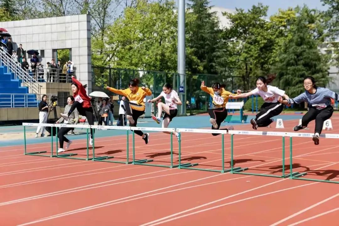 你，爱上浙大的理由是________