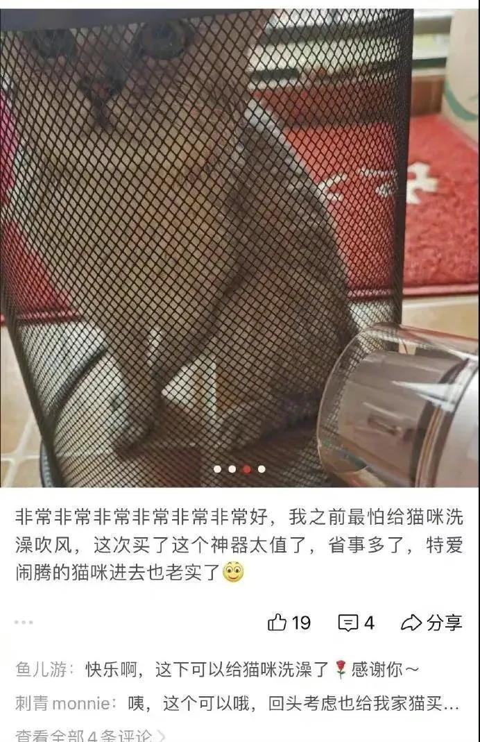 沙雕网友日常：文案撩得很追你又不肯，私信还叫我滚无情又残忍