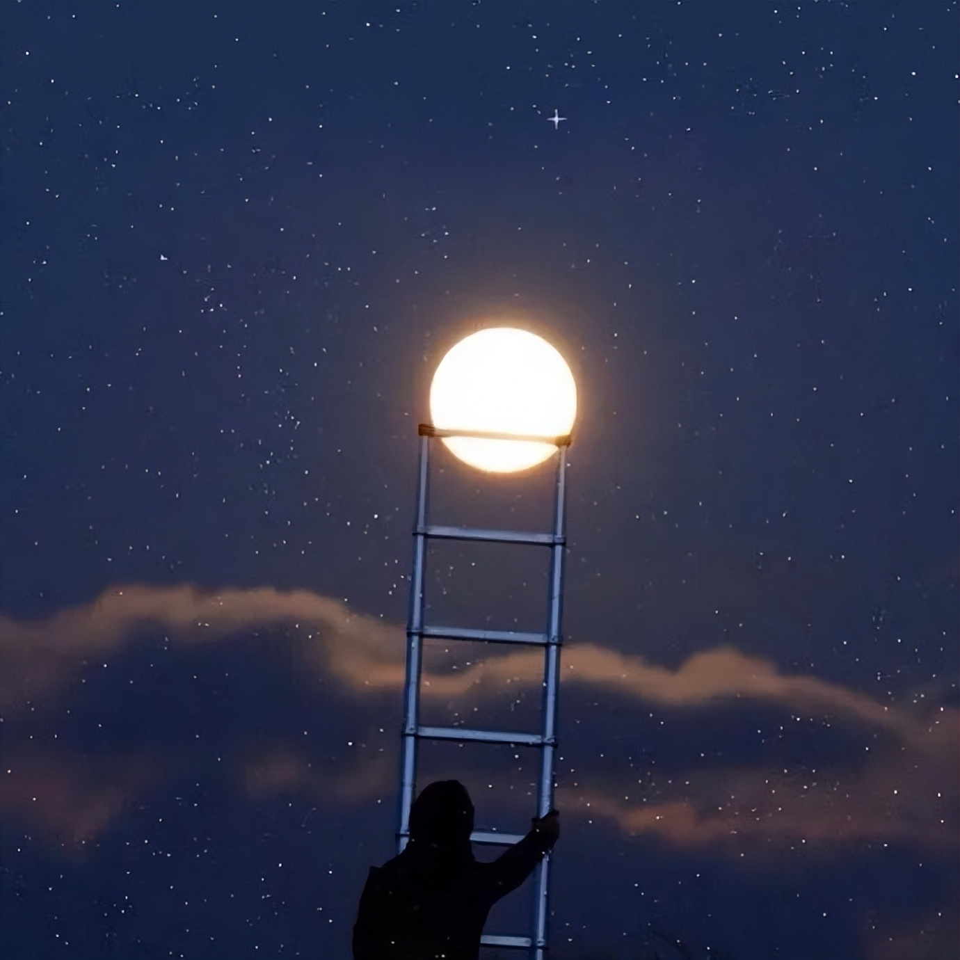 心灰意冷的痛心句子