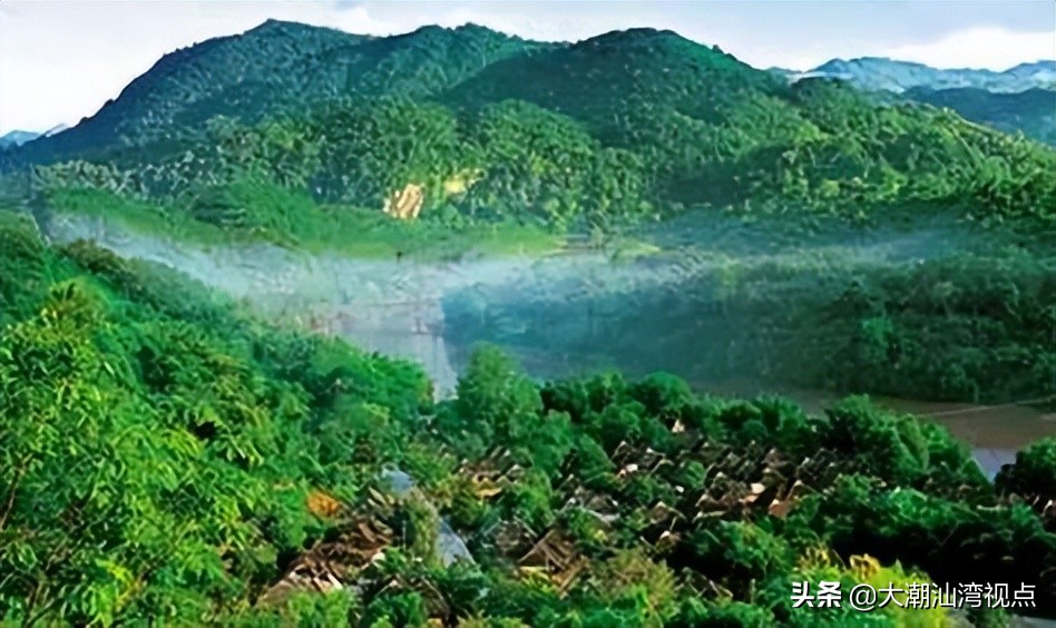 中国最美的十大森林