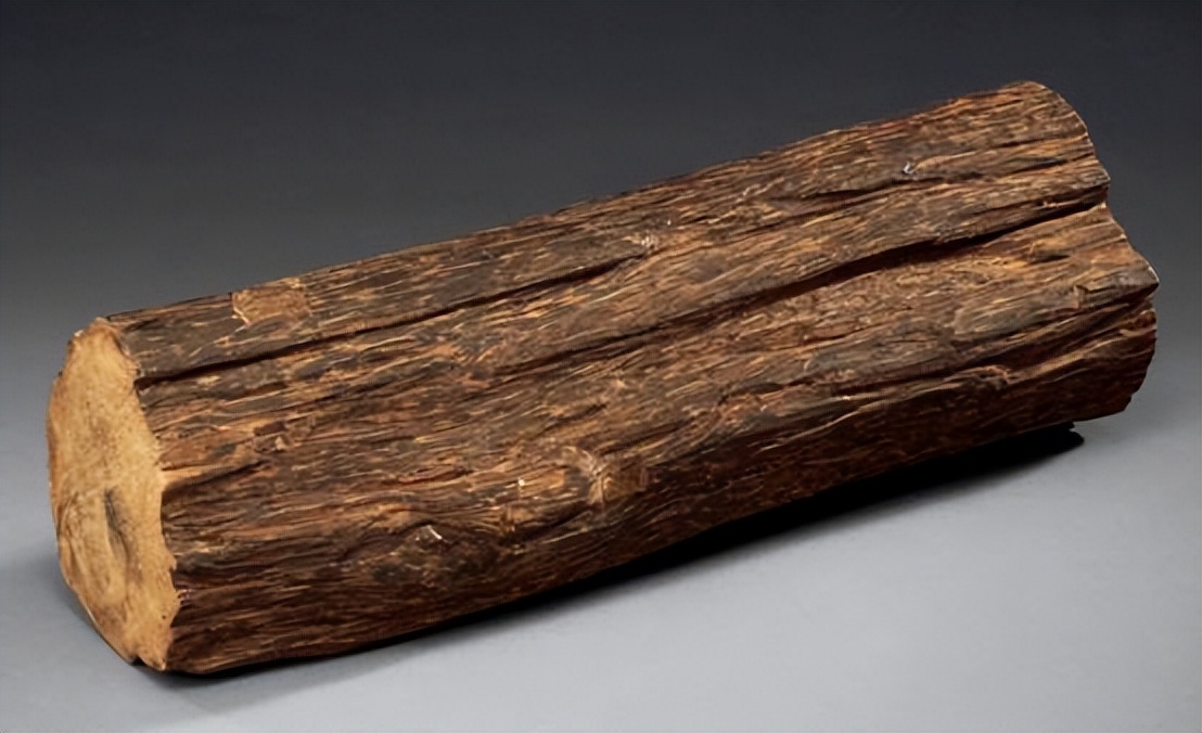 广东50年树龄的沉香木被盗,损失至少百万以上,它为何这么贵?