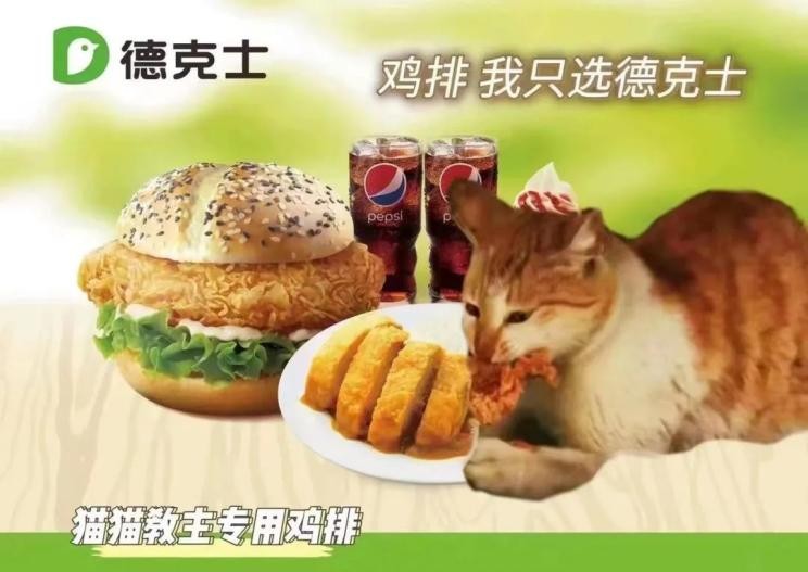 那只偷吃德克士外卖鸡排的小猫，被害死了