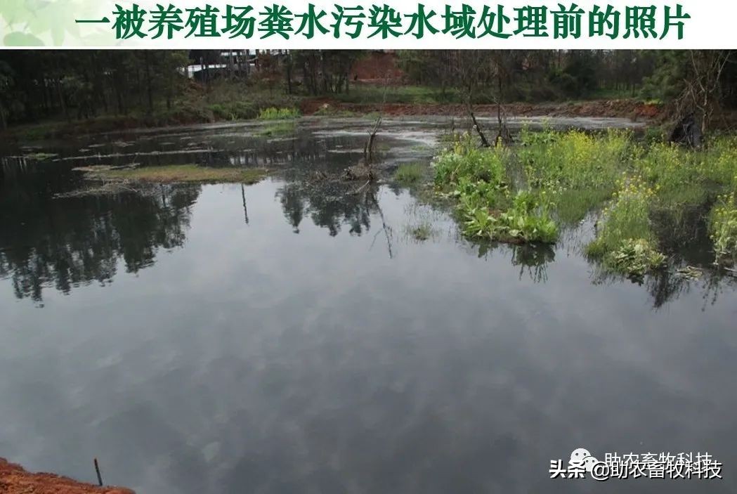 养殖场、农村集中废水用几个储液池让废水达标排放的方法分享