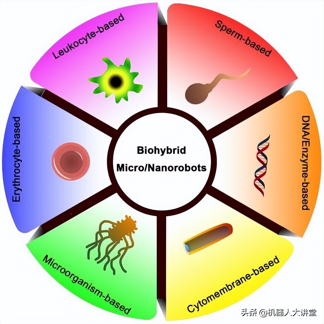 北理工团队总结生物杂化微纳米机器人新进展，有望彻底改变医学