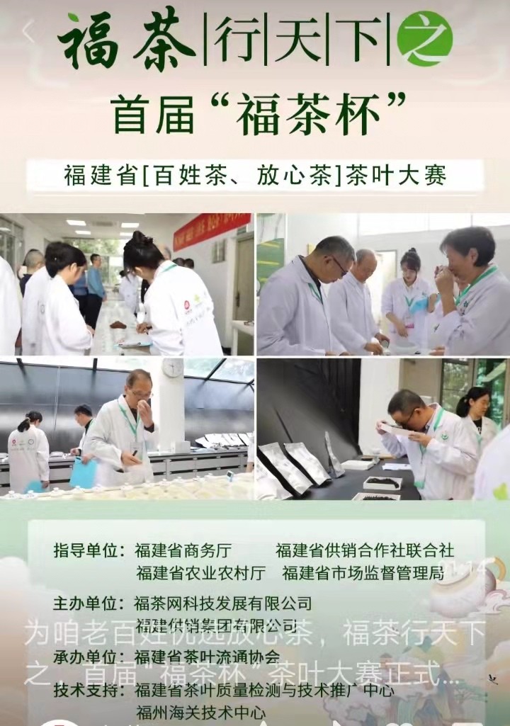 百姓茶、放心茶 首届“福茶杯”茶叶大赛首批获奖名单公布