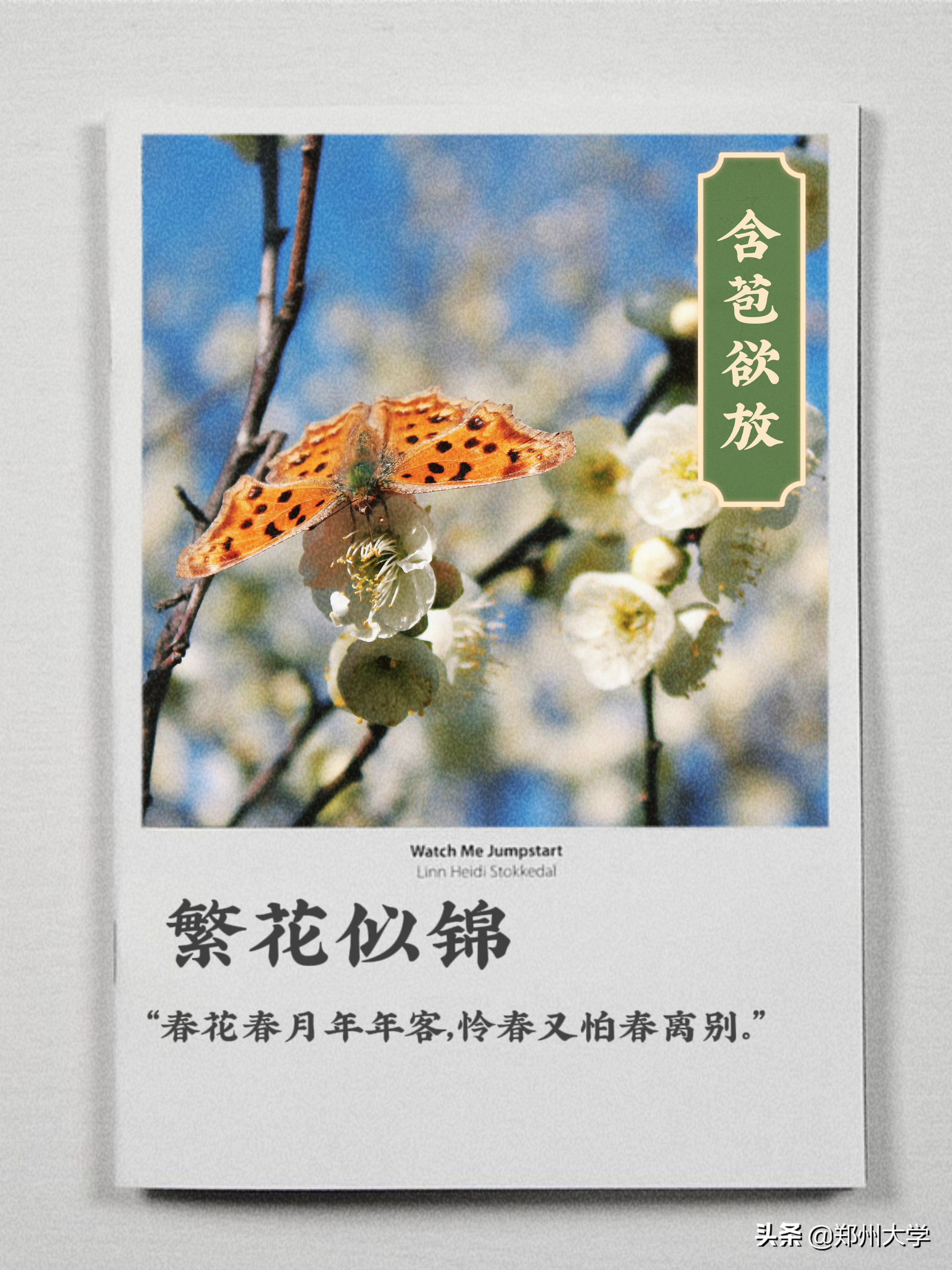 翻开郑大春日书单，一起看看春日的郑大吧！