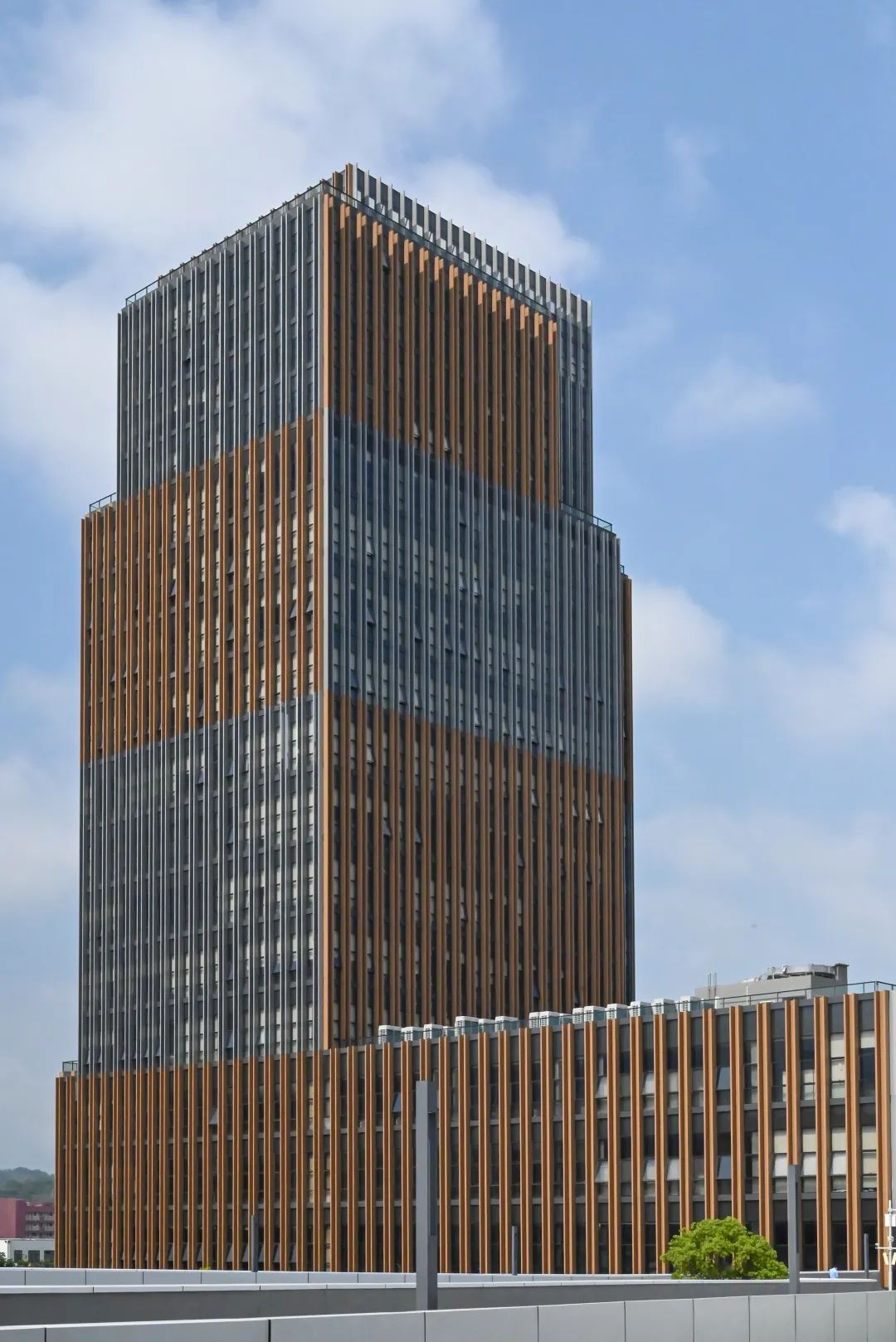 大数据与互联网学院 - 深圳技术大学（全校普通本科计划招3400人）