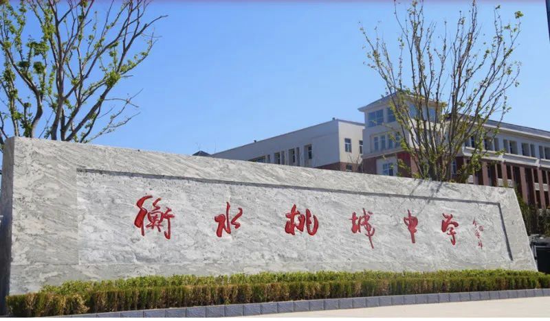 初中生万字长文痛诉学校，为什么出事的总是衡水