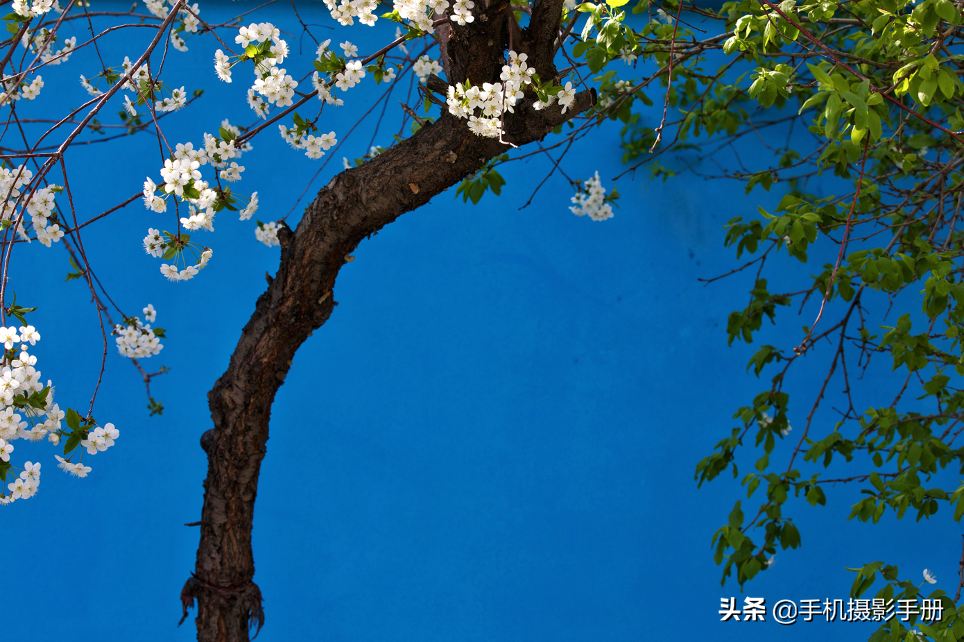 有风景，有摄影，还有爱人相随——我的2021年终盘点