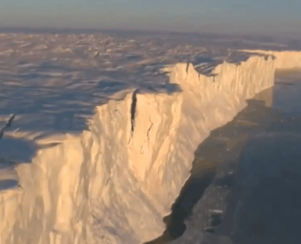 科学家警告：各种迹象表明，地球或许正进入第六次生物大灭绝