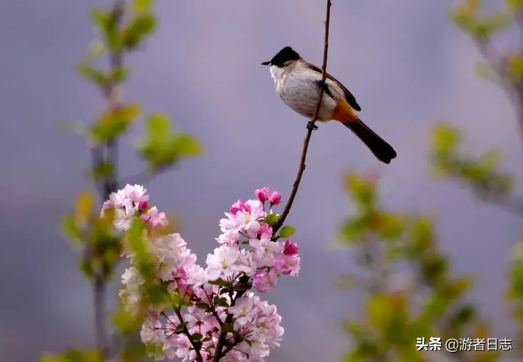 又到出游季，甘肃最全旅行攻略请收好