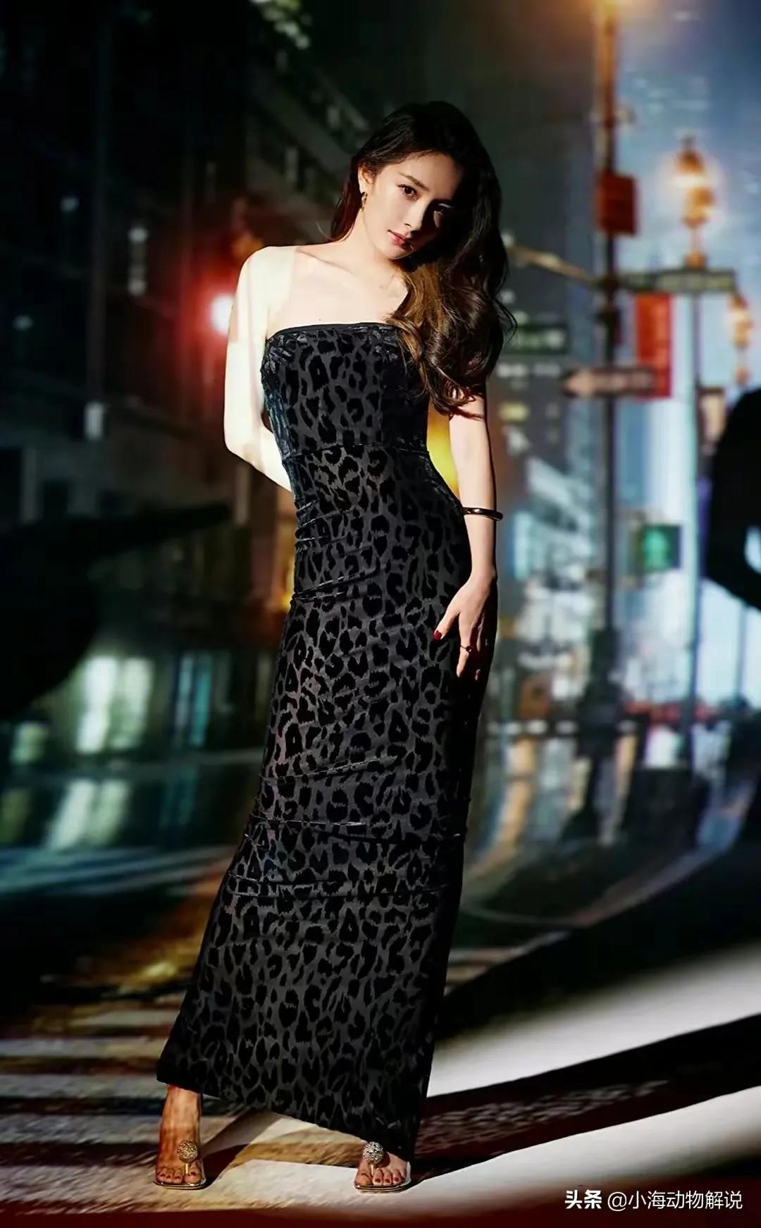 三大顶流的豹纹battle，迪丽热巴休闲惬意，赵丽颖杨幂一言难尽