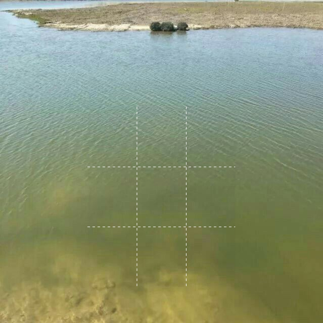 虾塘水肥不起来怎么办？虾塘怎样快速肥水？