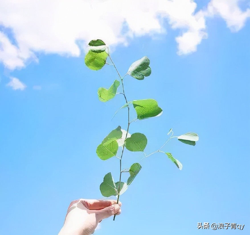 读后让人暖心的优美句子，简单干净，直抵心灵