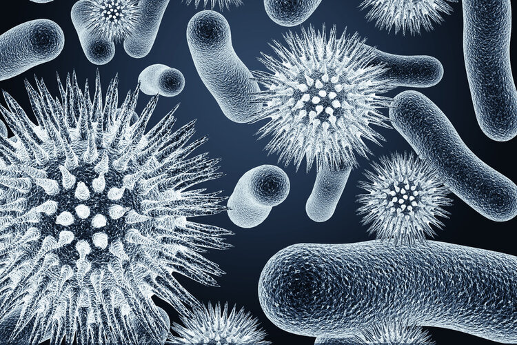 长期只喝烧开的自来水，不喝纯净水和矿泉水，身体最终会怎样？